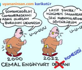 Karikatür: Cemal Enginyurt