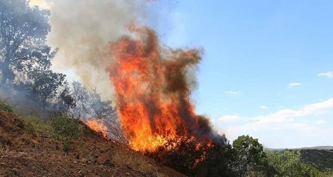 PKK’dan tarla kundaklamaya devam