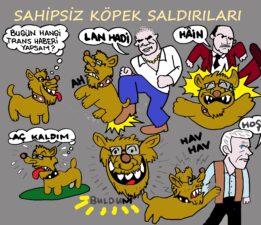 Sahipsiz köpek saldırıları