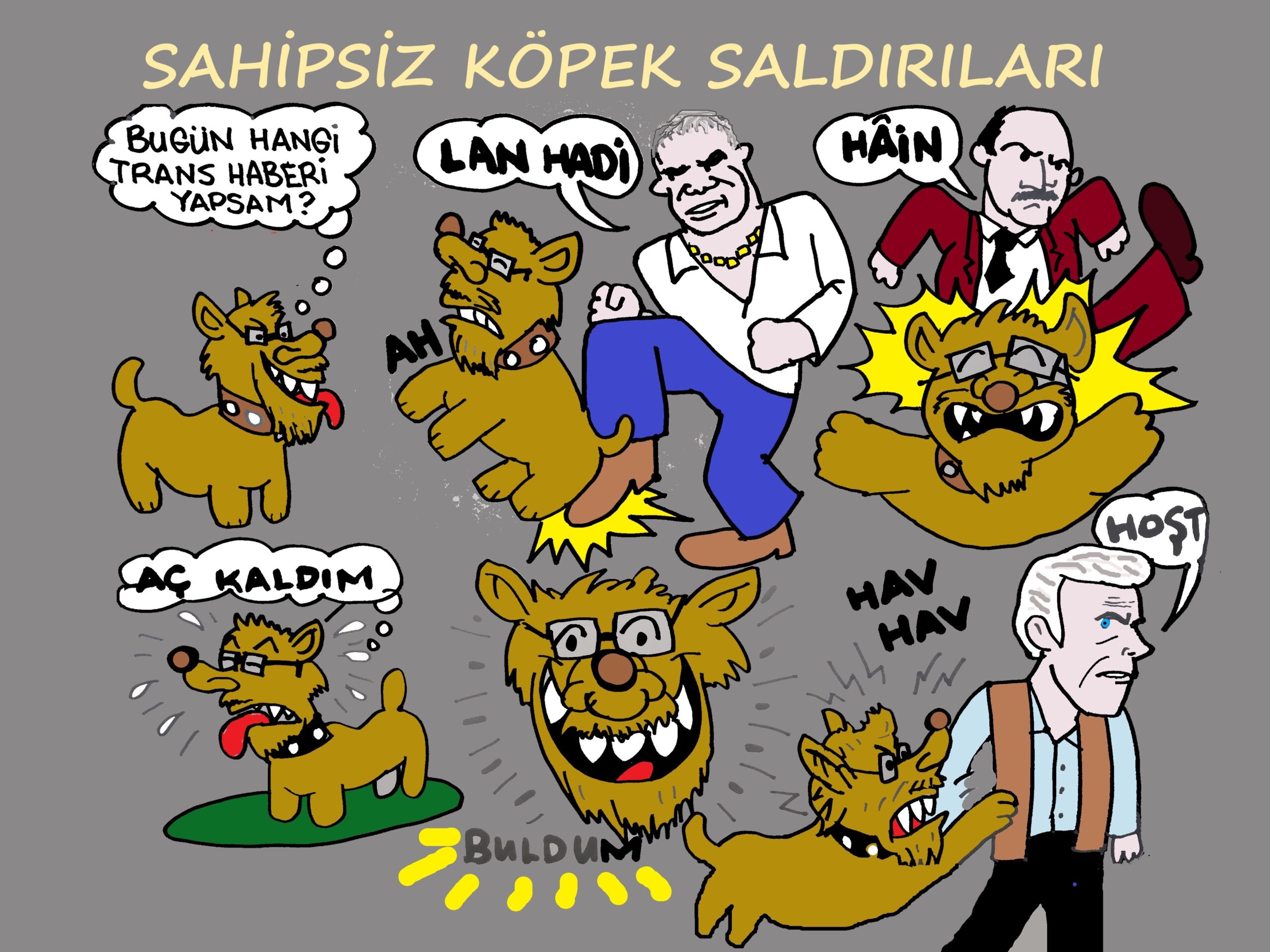 Sahipsiz köpek saldırıları