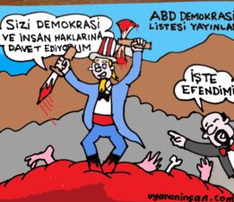 Demokrasi havarisi ve müritleri