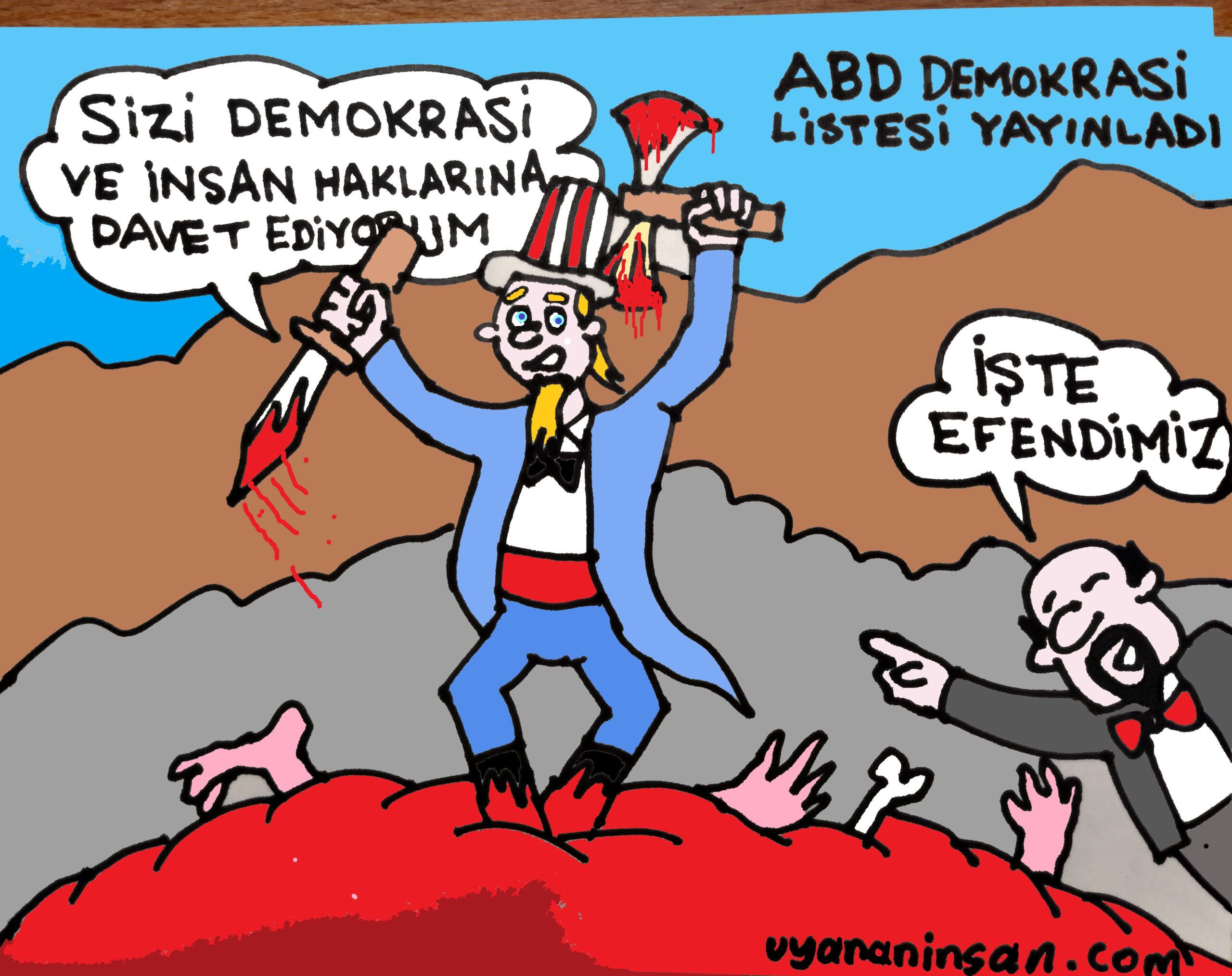 Demokrasi havarisi ve müritleri