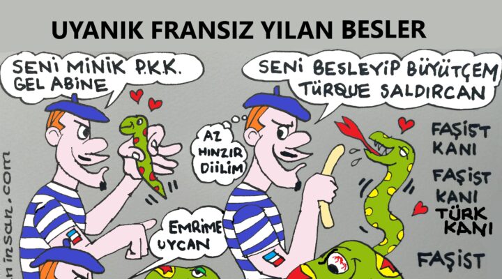 Karikatür: Uyanık Fransız