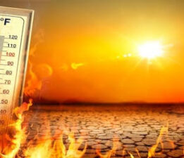 Rekor sıcaklarla dünya kavruluyor