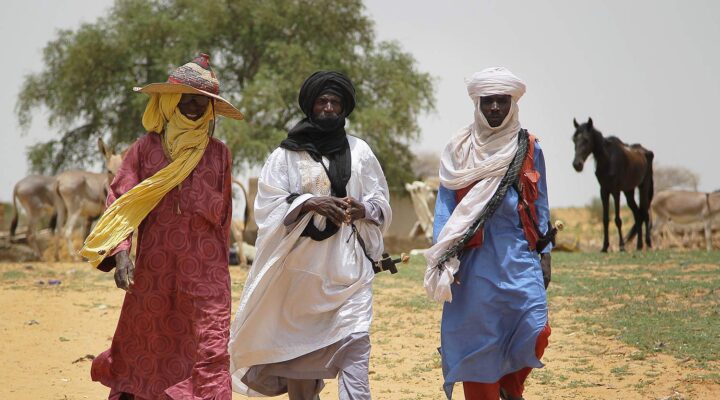 Fransa Nijer soykırımının hesabını verecek