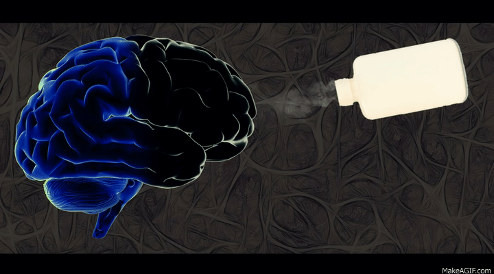 Tonlarca uyuşturucu yakalandı