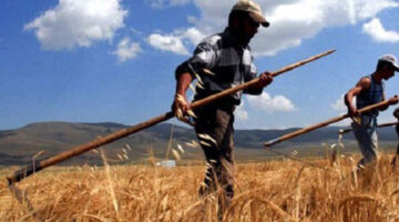 Türk çiftçisi 22 üründe dünya lideri