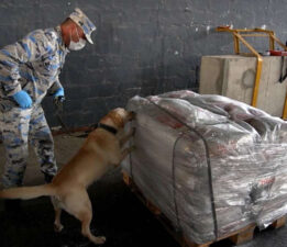 Yarım ton eroine el kondu