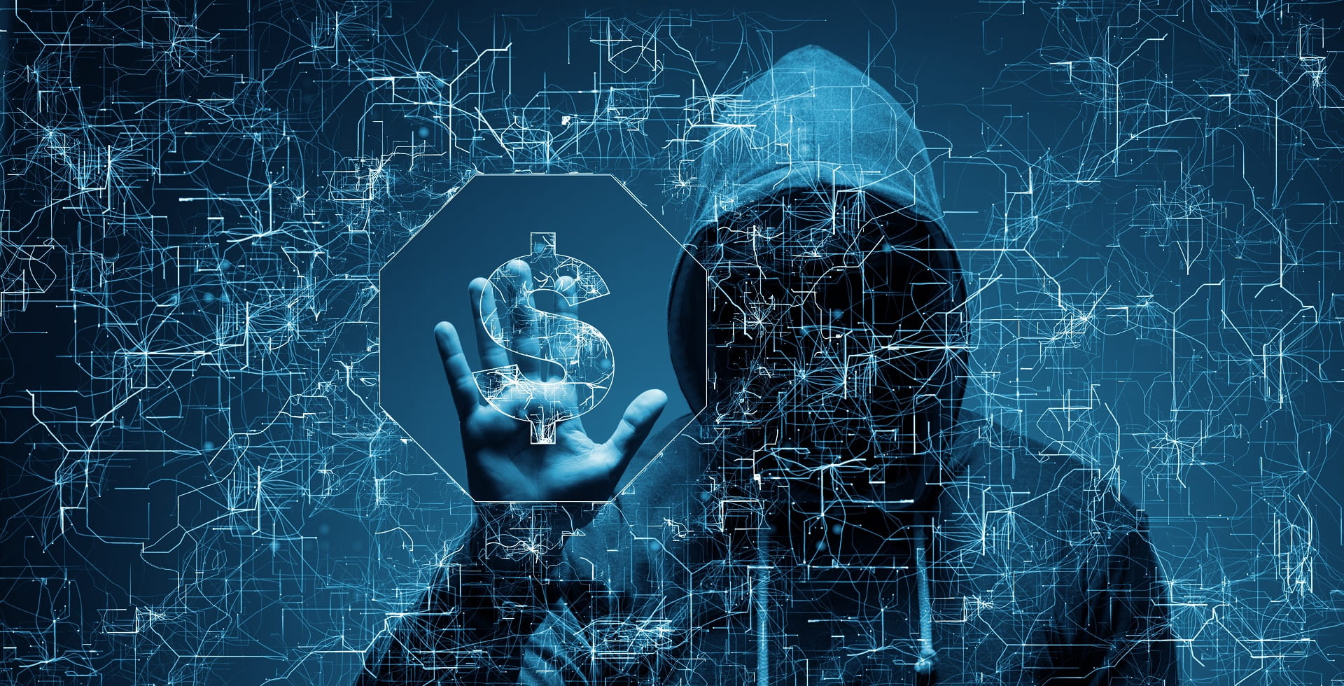 Siber casuslara karşı darbe