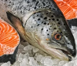 Artvin somon merkezi oldu