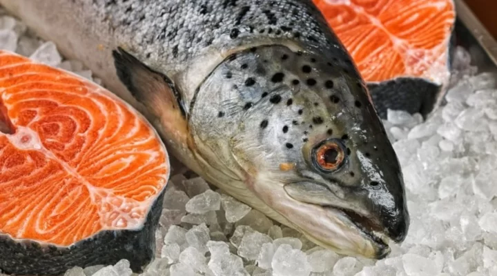 Artvin somon merkezi oldu